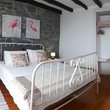 Holiday home Holiday - Fnc01100h-f Ribeira Brava