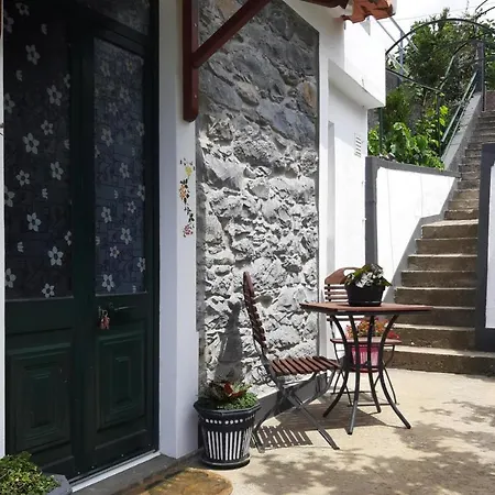 Holiday - Fnc01100h-f Ribeira Brava